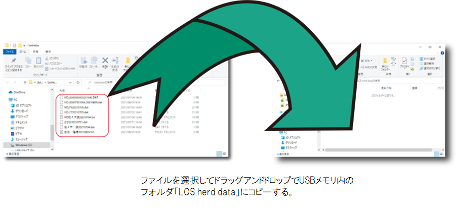 toransfer herd data usb